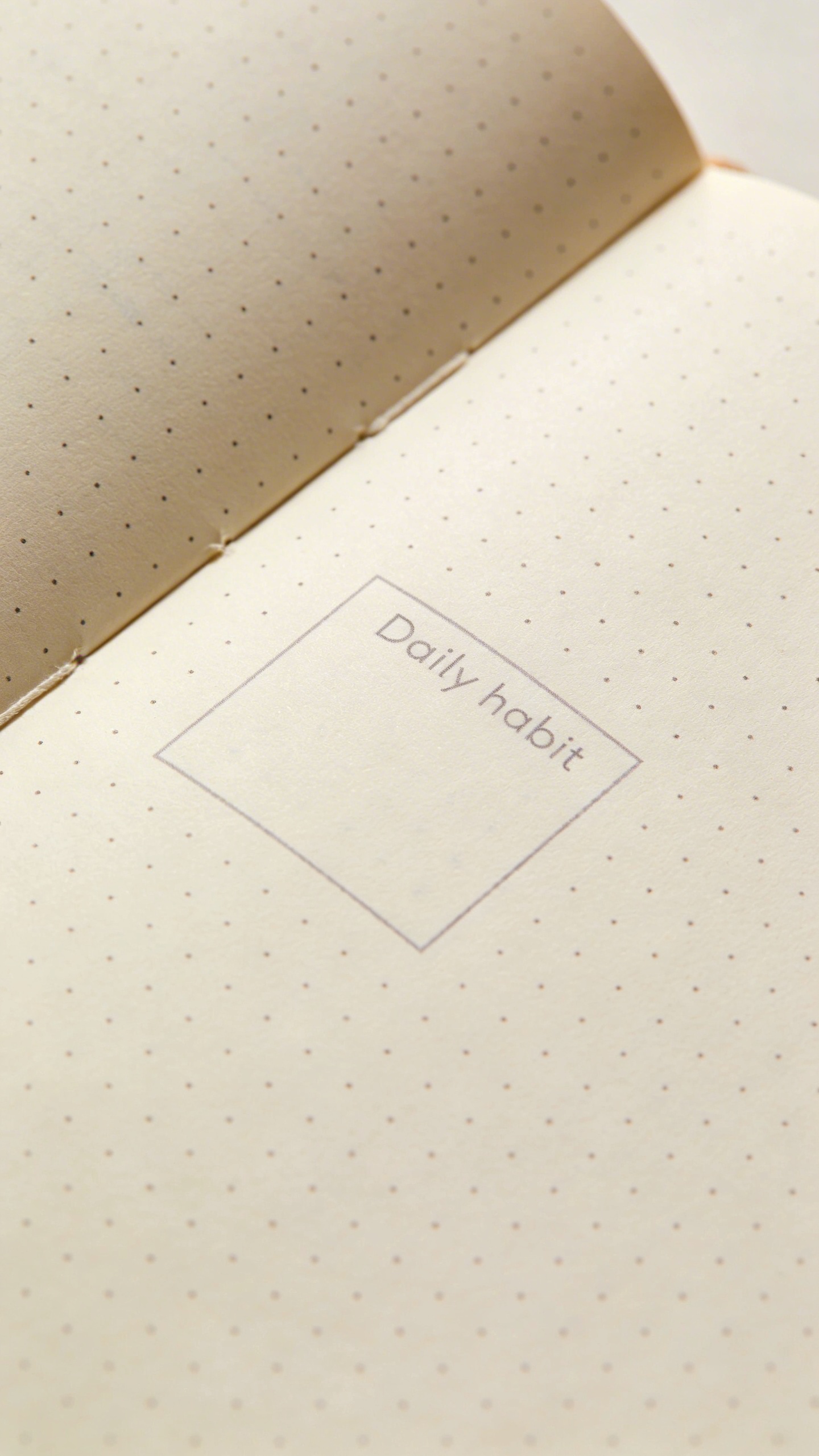 open dotted journal showing a single daily habit box, macro shot