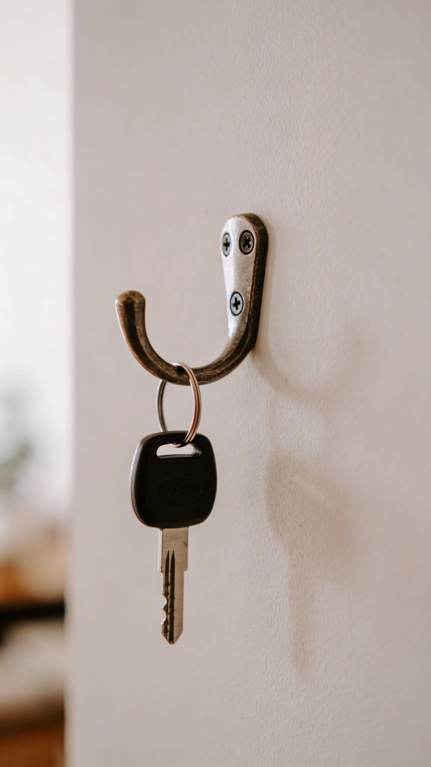 closeup of wall-mounted key hook with one car key