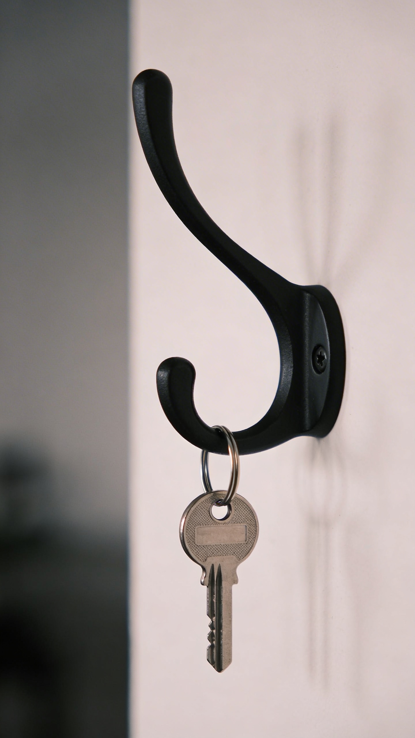 matte black wall hook with single neatly hung key