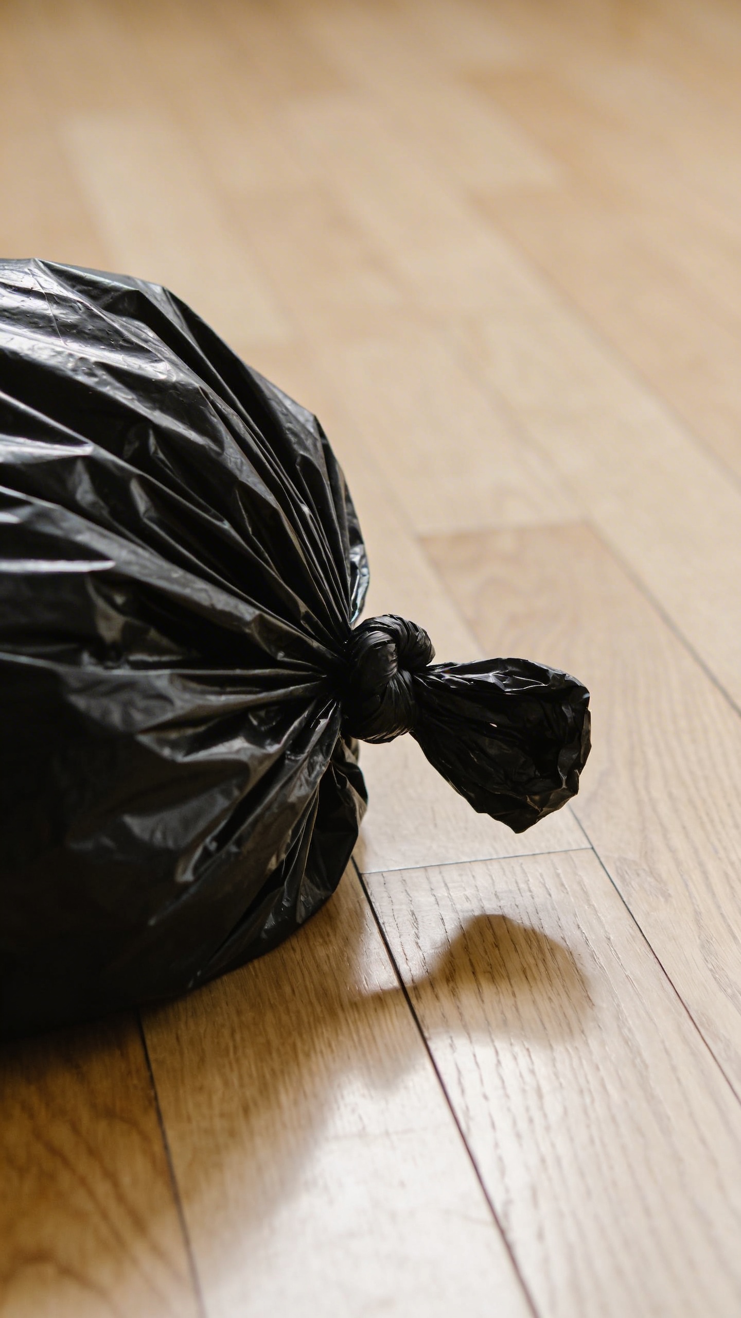 black trash bag tied shut on hardwood floor, natural light
